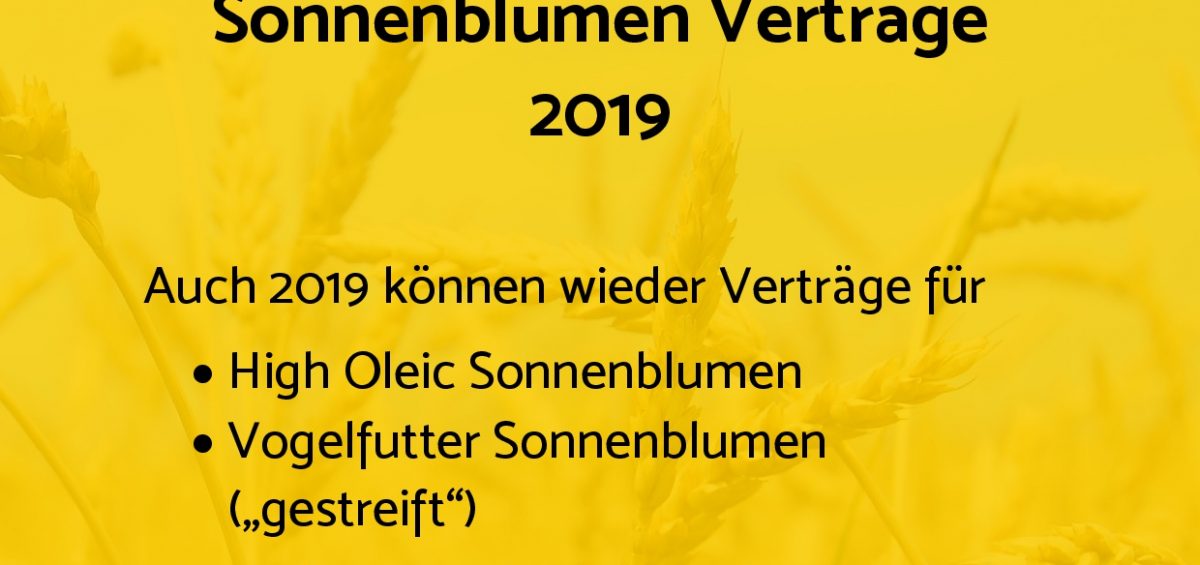 Verträge für Sonnenblume Anbau 2019