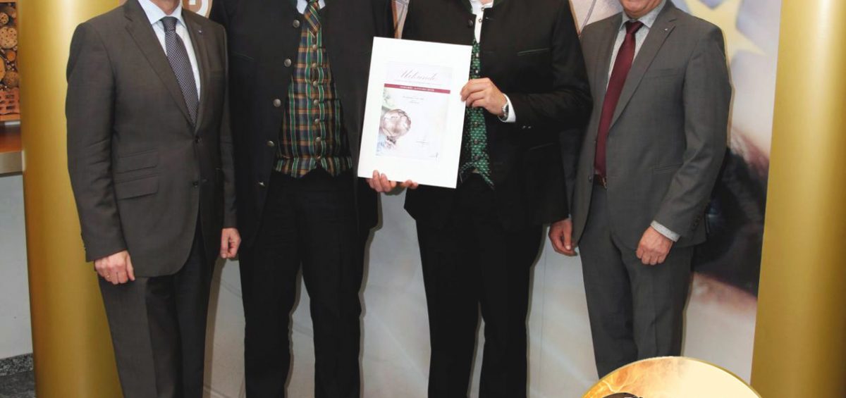 Energy Globe Award